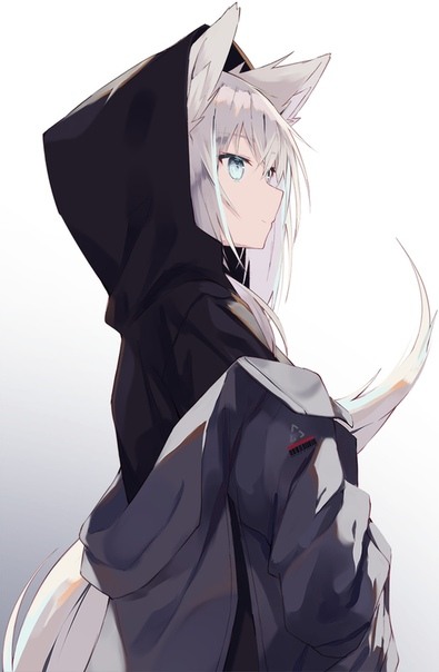 fQMsteU9SNs.jpg.59eedea5c27b75ae4502b472166ffb58.jpg