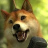 Winfox