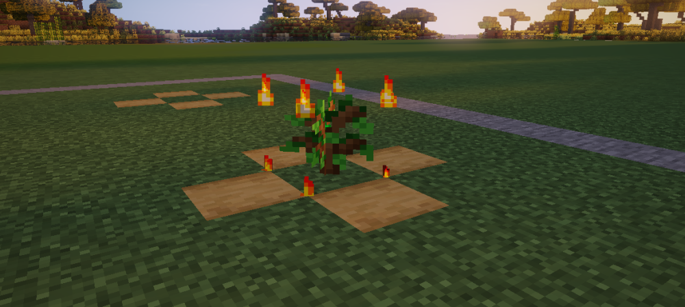 sapling.thumb.png.ee950ecf81a838dabb81a24ebea30b34.png