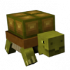 turtlefreake